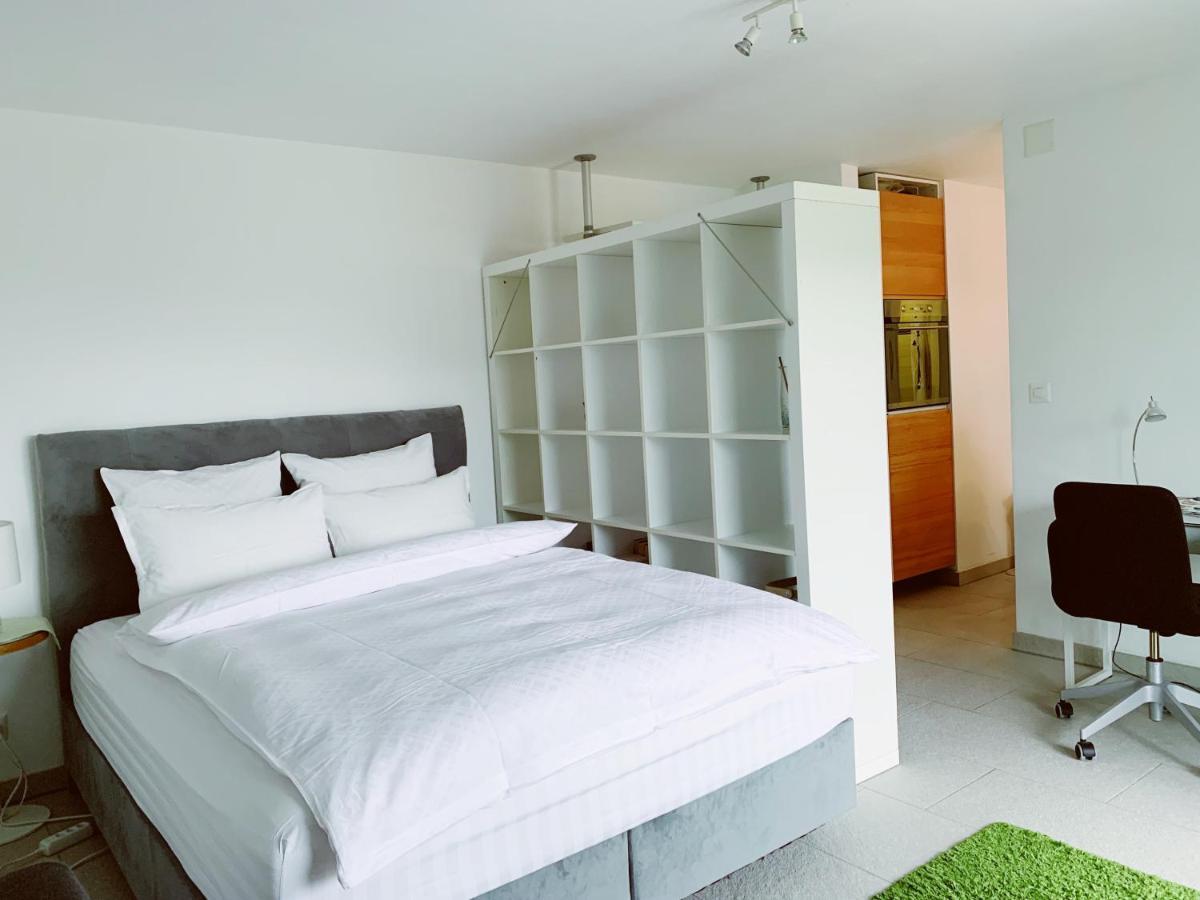 Hertenstein N1 Standalone House Baden 아파트 외부 사진