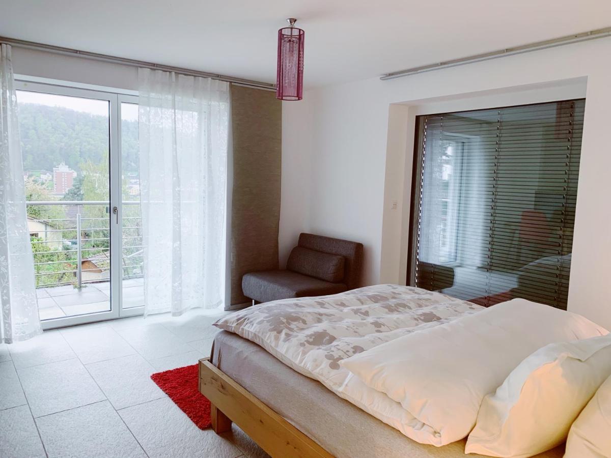 Hertenstein N1 Standalone House Baden 아파트 외부 사진