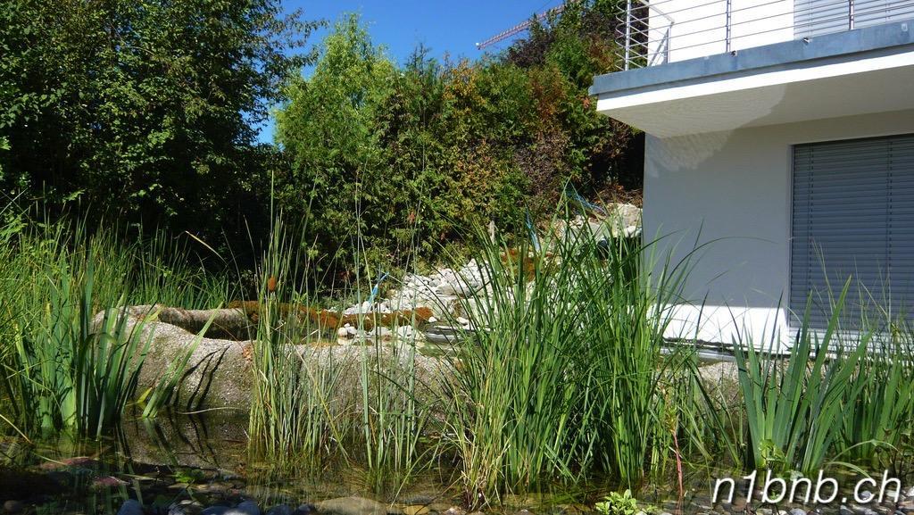 Hertenstein N1 Standalone House Baden 아파트 외부 사진