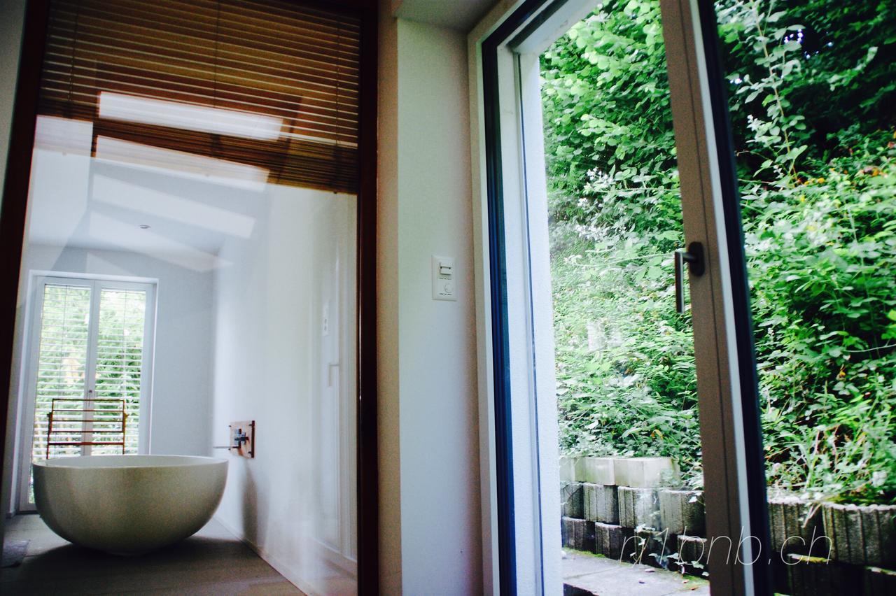 Hertenstein N1 Standalone House Baden 아파트 외부 사진
