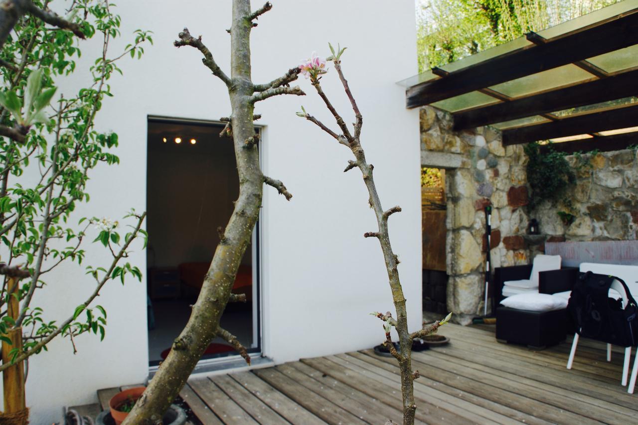 Hertenstein N1 Standalone House Baden 아파트 외부 사진