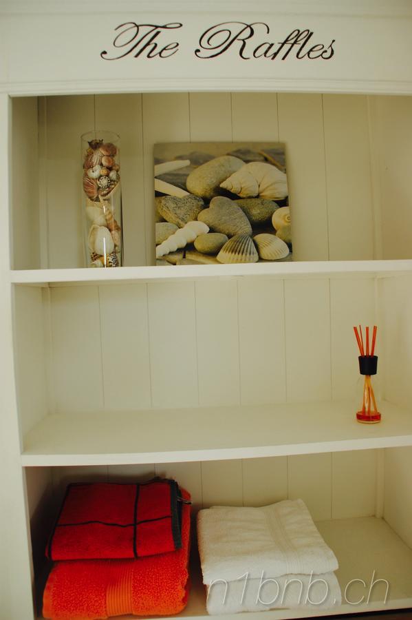Hertenstein N1 Standalone House Baden 아파트 외부 사진